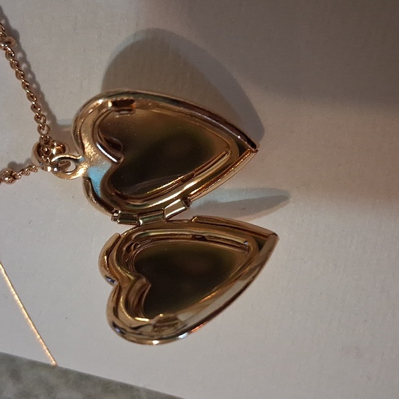 Pretty Heart Locket - Picture 3 of 4